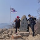 클린푸드 네이버블로그