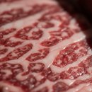 상상투플러스 이미지