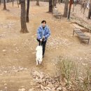 이연복 카카오 검색결과