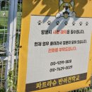 파트라슈반려견학교 네이버블로그