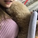 제동치과의원 | 매복사랑니 발치 리얼후기 첫날 (feat.신경관근접+노지혈..)