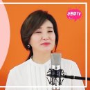 홍도야 우지마라 이미지