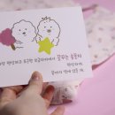 예쁘개 편안하개 이미지