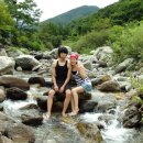 명순이네 이미지