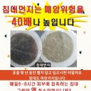 새솔세탁 이미지