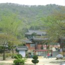 명지바람 이미지