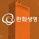 라이프인카 이미지