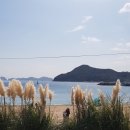 와현해수욕장(서) 이미지