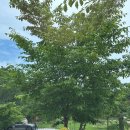 대곡보건진료소 이미지