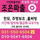 조은파출