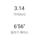 파텔라 이미지