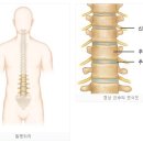 정마취통증의학과 이미지