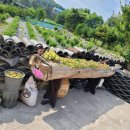 깨비네집 이미지