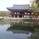 남원 광 한 루 이미지