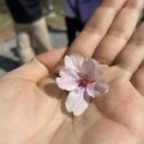 생활 속 힐링 아로마테라피 이미지