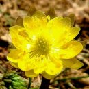 광덕5리 이미지