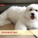 솔이농장 이미지