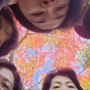 고요한숲