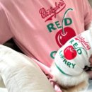 싱글멍글 이미지