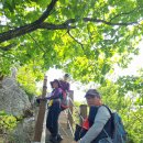 석장승(남장사) 이미지