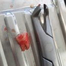 목감365치과의원 이미지