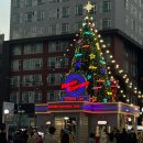 일권농장 | 1201-1218