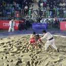 천하체육관 | [경북 의성군] 의성종합체육관 위더스제약 2025 &lt;의성 천하장사 씨름대회&gt; 직관 후기