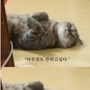 아이찬 - 도봉구 도봉로180나길 41 | 아이찬