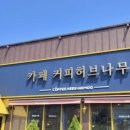 커피허브나무 이미지