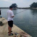 DC마트 앞 | 남해 당일치기 삼천포 출발! 미조항 해양산책로 ,몽돌해변 야영장 바베큐 후기