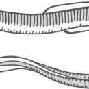 주식회사 앰퍼샌드 이미지