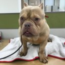 구미대로 이미지