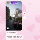 행복 기억 모아서