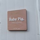 베이비 피그 Baby Pig 이미지