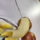 농라 과일아재 안동 미안마 부사 구매후기