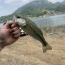 합천호식당옆화장실 이미지