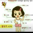 선 헤어 이미지