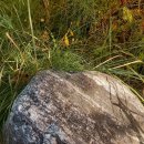 의료법인 이라의료재단 이미지