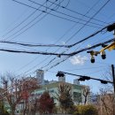 반포대로27길 29 이미지