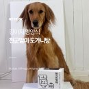 천군 | 더위에 지친 강아지도 보양식이 필요해요☀️, 천군맘마 강아지 도가니탕 급여후기