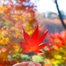 곤지암미스클라라 | 화담숲 근처 숙소 BEST 5, 곤지암 펜션 추천