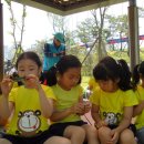 운천초교 이미지