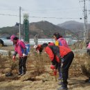 와룡자연휴양림 이미지