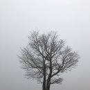 태형목장 이미지