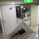 정스 뷰티샵 | [서울 마곡] 리엘리제 뷰티 속눈썹 LED 연장+펌 솔직 후기