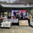 보명사 이미지