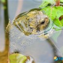 덕동산공원2 이미지