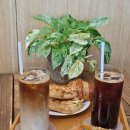 덕산마을회관 | 수선화 가득한 정원이 있는 예산 베이커리 카페 백설농부