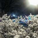 퇴촌 낭만펜션 이미지