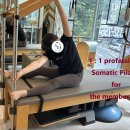 비원메디 이미지